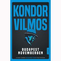 bokomslag Budapest novemberben