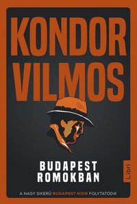 bokomslag Budapest romokban