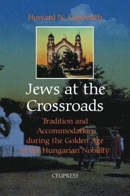 Howard N. Lupovitch, Howard N Lupovitch - Jews at the Crossroads, Inbunden