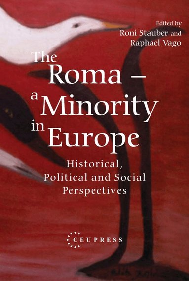 Roni Stauber, Raphael Vago - Roma - A Minority in Europe, Inbunden