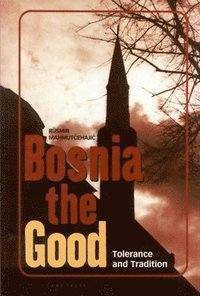 bokomslag Bosnia the Good