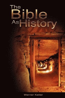 bokomslag Bible as History