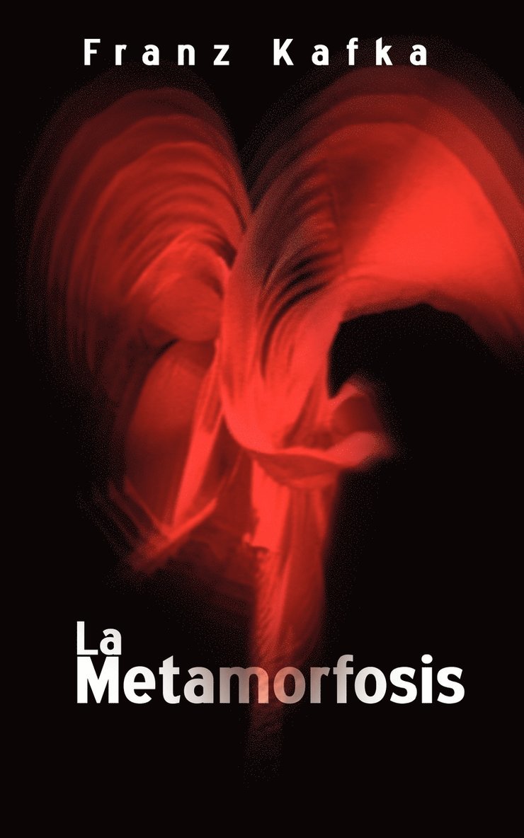 La Metamorfosis / The Metamorphosis 1