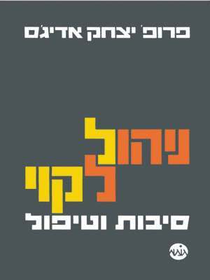 bokomslag How To Solve The Mismanagement Crisis - Hebrew edition