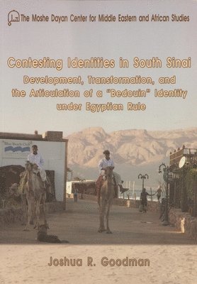 bokomslag Contesting Identities in South Sinai