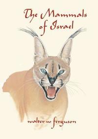 bokomslag Mammals of Israel
