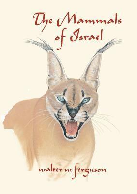 bokomslag Mammals of Israel