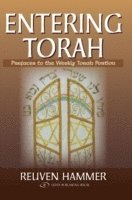 bokomslag Entering Torah