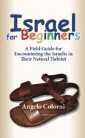 bokomslag Israel for Beginners