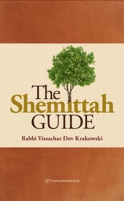 bokomslag Shemittah Guide