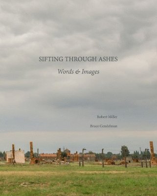 Sifting Through Ashes 1