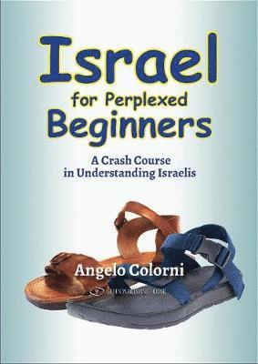 bokomslag Israel for Perplexed Beginners