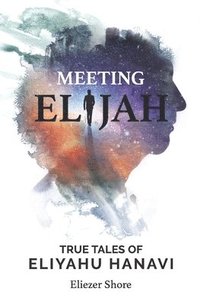 bokomslag Meeting Elijah