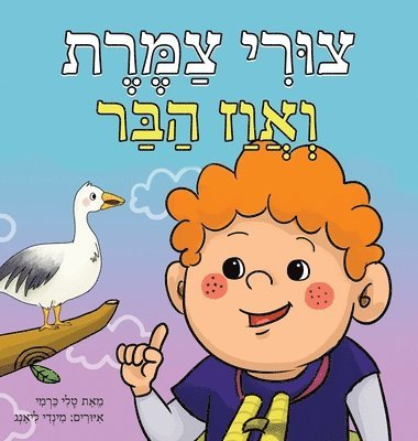 &#1510;&#1493;&#1512;&#1497; &#1510;&#1502;&#1512;&#1514; &#1493;&#1488;&#1493;&#1493;&#1494; &#1492;&#1489;&#1512; 1