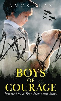 bokomslag Boys of Courage