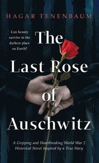 bokomslag Last Rose of Auschwitz
