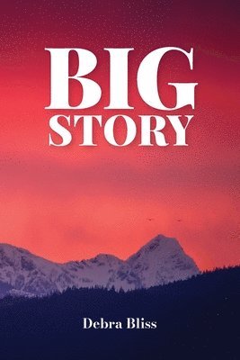 Big Story 1