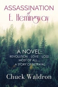 bokomslag Assassination of E. Hemingway