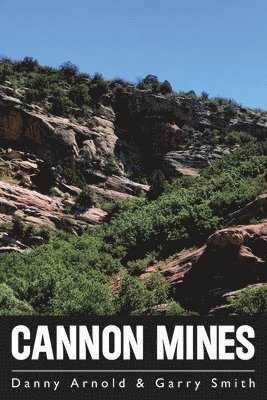 Cannon Mines