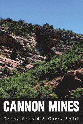 Cannon Mines 1