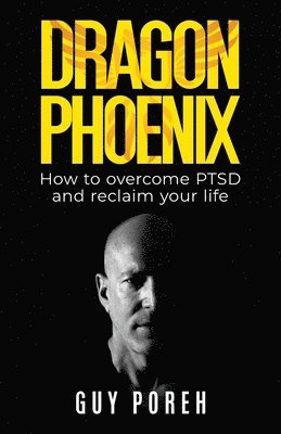 bokomslag Dragon Phoenix, How to overcome PTSD and reclaim your life