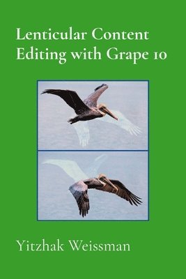 Lenticular Content Editing with Grape 10 1