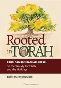 bokomslag Rooted in Torah