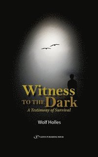 bokomslag Witness to the Dark
