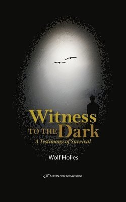 bokomslag Witness to the Dark