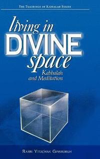 bokomslag Living in Divine Space