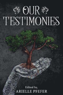 bokomslag Our Testimonies