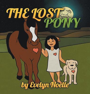 bokomslag The lost pony