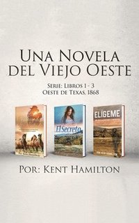 bokomslag Novela del Viejo