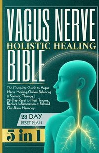 bokomslag Vagus Nerve Holistic Healing Bible