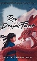 bokomslag Ray in the Dragon's Forest