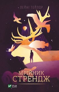 bokomslag Strange The Dreamer