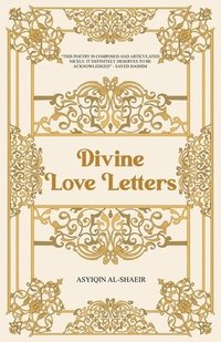 bokomslag Divine Love Letters