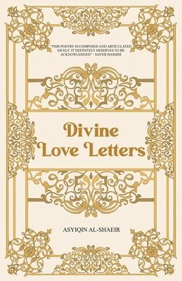 bokomslag Divine Love Letters
