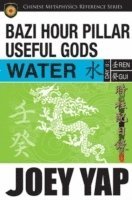 BaZi Hour Pillar Useful Gods -- Water 1