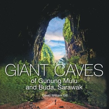 bokomslag Giant Caves of Gunung Mulu and Buda, Sarawak