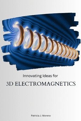 bokomslag Innovating Ideas for 3D Electromagnetics