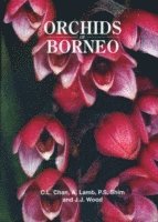 bokomslag Orchids of Borneo Volume 1