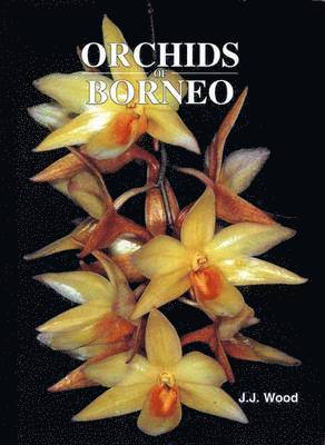 Orchids of Borneo Volume 3 1