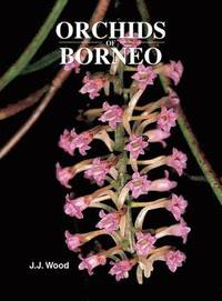 bokomslag Orchids of Borneo Volume 4