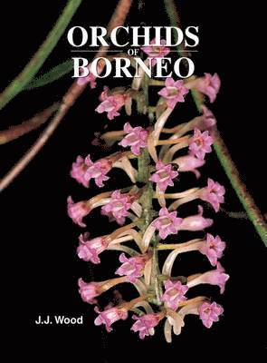 Orchids of Borneo Volume 4 1