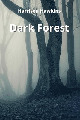 bokomslag Dark Forest