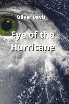 bokomslag Eye of the Hurricane