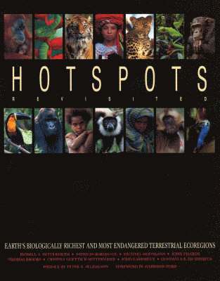 Hotspots Revisited 1