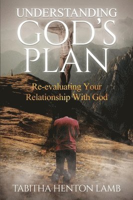 bokomslag Understanding God's Plan