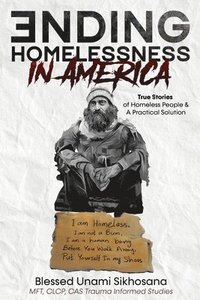 bokomslag Ending Homelessness in America